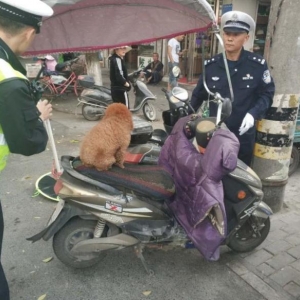 一中队重拳整治交通秩序 筑牢道路交通安全