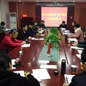 巢湖市卧牛山街道召开&quot;两会&quot;期间信访维稳调度会