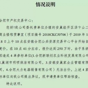 巢湖一女子精神崩溃，出价250万时系统突然…