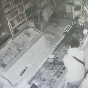 视频曝光：早上6点，巢湖一店铺被盗全过程
